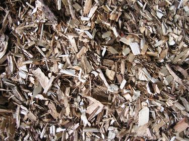 A wide variety of biomass fuels