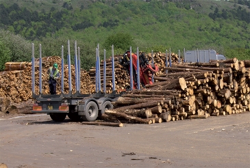 Trimmings from forests are used on many plants