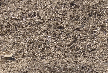 Sawmill residue is used among others by the WWEP